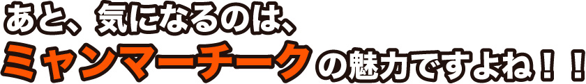 あと、気になるのは、ミャンマーチークの魅力ですよね！