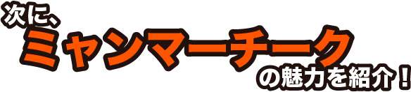 あと、気になるのは、ミャンマーチークの魅力ですよね！